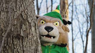 A Rufus Holiday