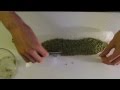 Rolling a One Ounce Joint! One fully stuffed cannon!