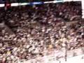 BOSTON GOT INVADED BY MTL FANS