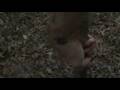 Shadow Falls: Episode 1: Jabberwocky