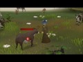 Runescape Infomercial: The Amazing Jagex Bronze Dagger