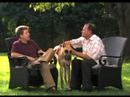Puppy Training Video - Find a Breeder (Episode 5) Puppy Training Video - Find a Breeder (Episode 5)