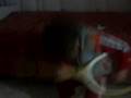 videos de 02-11-08_1730.3gp