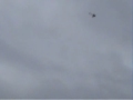 Vuelo Helicóptero RC - Logroño 2007