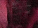 XNT Teaser XNT Teaser