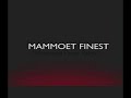 Mystic - Ritmo Del La Noche (Mammoet Finest Remix)