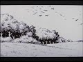 A-short-history-of-A