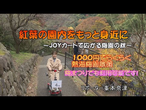 <br />
<b>Warning</b>:  Undefined property: Custom_Field_Suite::$get in <b>/home/xb588889/ikctv.com/public_html/main/wp-content/themes/IKCTV_Theme/parts/parts-archivecard_movie.php</b> on line <b>7</b><br />
<br />
<b>Warning</b>:  Trying to access array offset on null in <b>/home/xb588889/ikctv.com/public_html/main/wp-content/themes/IKCTV_Theme/parts/parts-archivecard_movie.php</b> on line <b>7</b><br />
