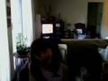 videos de Buffalo Soldier