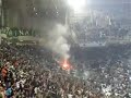 prasinh kerkida  gayroi pelates