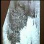 Mars extraterrestrial information assasination, etc.