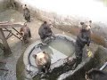 昭和新山-熊牧場