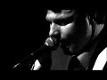 Muchy - Fototapeta Muchy - Fototapeta