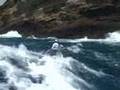 Molokai Surfski Padling