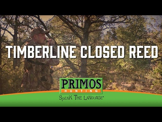 How to Use a Primos Timberline Closed Reed Elk Call