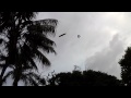 I uploaded a @YouTube video http://t.co/wSkt6cB6 Bats of Sydney 14