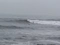 Surf: Santa Cruz (f. Social Accessory)
