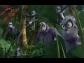 Kangaroo is a Bitch