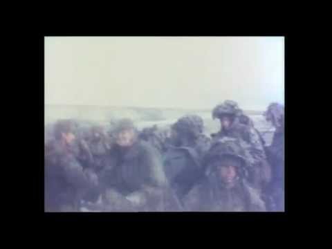 Welsh Guards & Marines On Sappers Hill On The Day Of Surrender