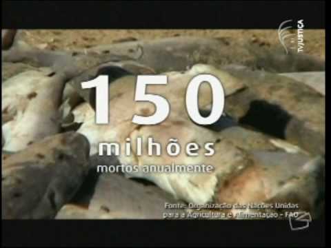 Imagem de Amostra do You Tube