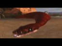 The Brotherhood of Serpents