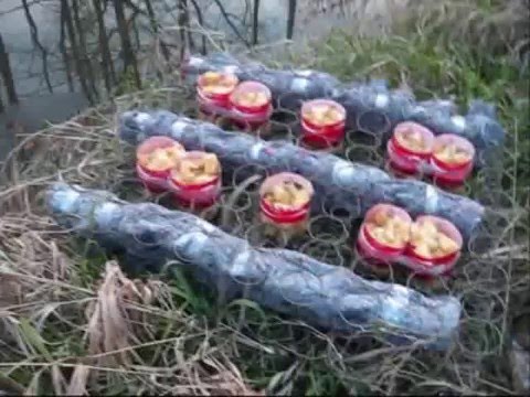 New Gardens Made from Trash