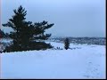 joyeux noel