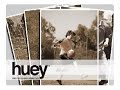 Pantone \"huey\" monitor calibrator Pantone \"huey\" monitor calibrator
