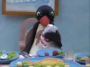 pingu romagnolo