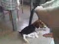 Lucky lesson1