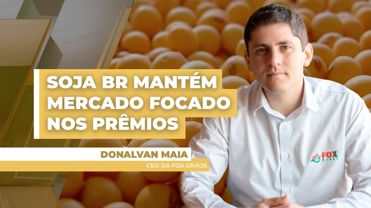 Soja sobe timidamente em Chicago nesta 3ª e Brasil registra apenas negócios pontuais