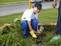 SIEMBRA DE PLANTAS UNEFA AGROINDUSTRIAL