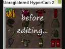 Runescape editing pictures-Arabian dog1