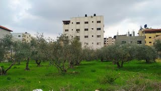 مشوارنا على قرية الضبعه