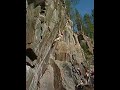 Panda takes a drop