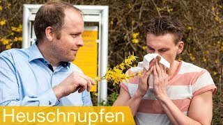 nach darmspiegelung darmflora aufbauen