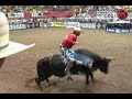 Kody Lostroh VS Cat Man Do
