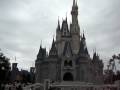 Viny Magic Kingdom 7Jan09