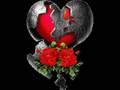 CEYLAN-S-RG-N-SEVDAM