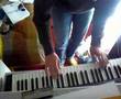 la panthere rose piano francois sonjon fafasemnoz