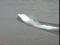 RC Powerboat HPR 115