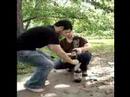 Mentos and Diet Coke