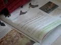 Leitura em voz alta 1 Leitura em voz alta 1