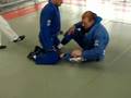 korea bjj (john frankl) butterfly guard sweep B
