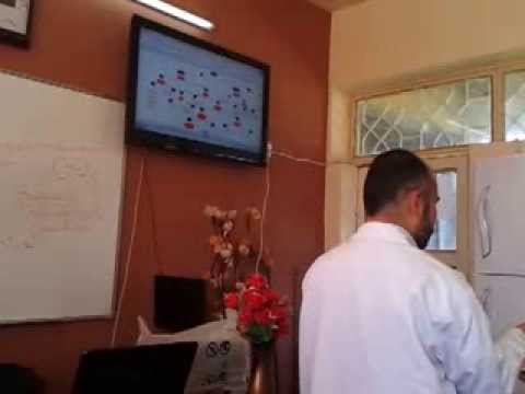 how to isolate and identify bacteria