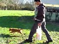 �zg�r �ocuk �iko