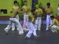Demonstra-o-Capoeira