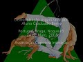 Demonstra-o-Capoeira