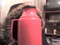 videos de pauli cabeza de termo