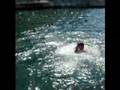 Lake Travis with the Duke
